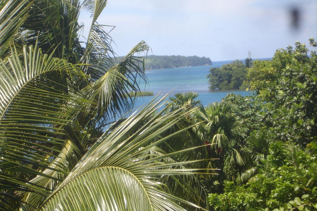 Finjam Cottage Port Antonio Bagian luar foto