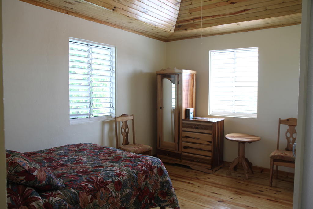 Finjam Cottage Port Antonio Ruang foto